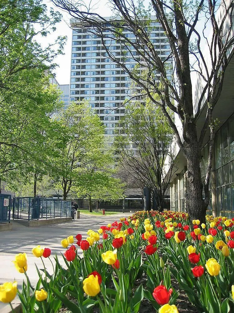 Chestnut Residence And Conference Centre - University Of Toronto Kanada